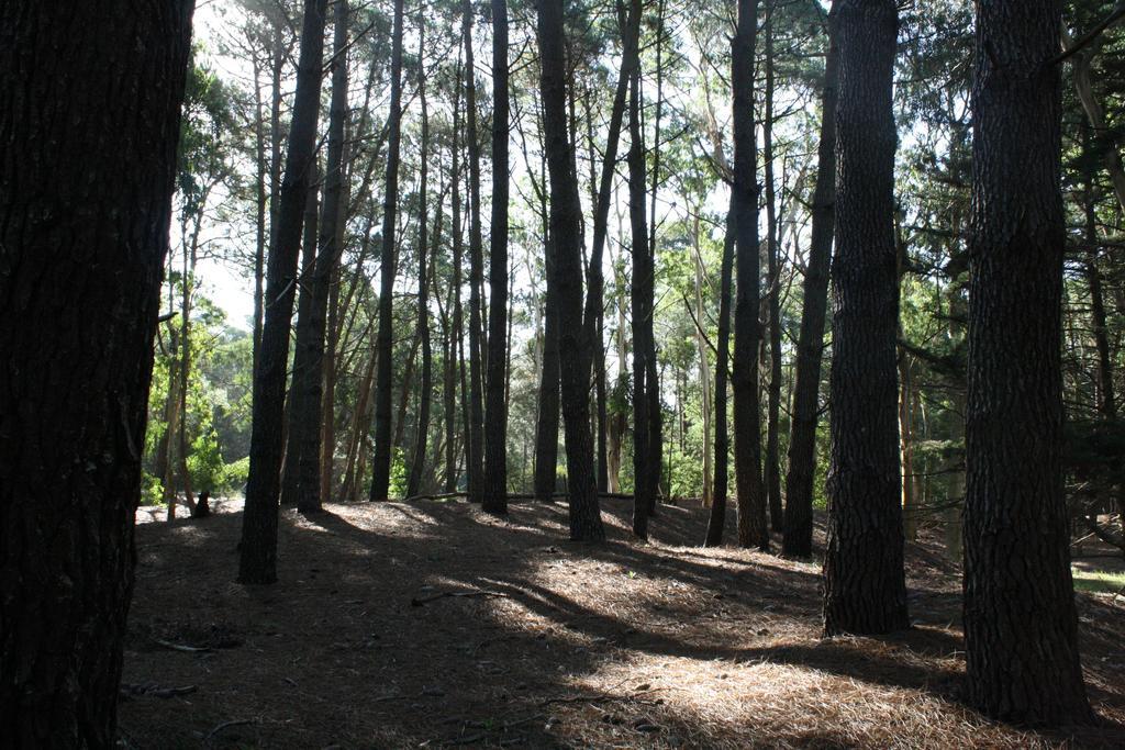 Cabanas Hurra Pampa Mar de Las Pampas Rom bilde