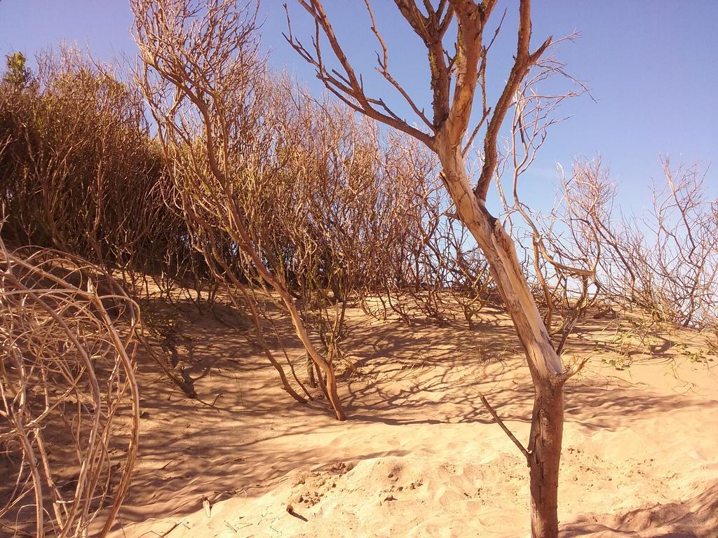 Cabanas Hurra Pampa Mar de Las Pampas Eksteriør bilde